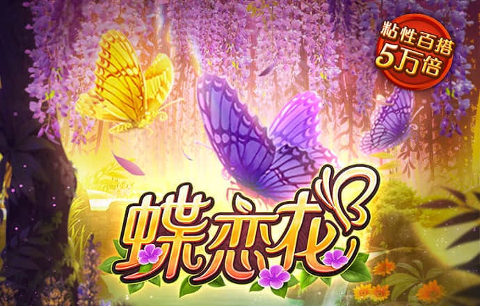 28圈平台官网版