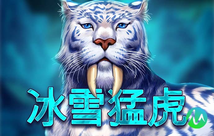 可爱海豚公主